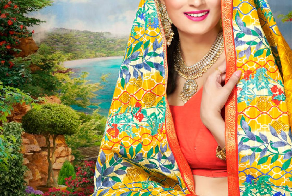 Resham Border Sarees