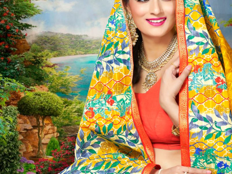Resham Border Sarees