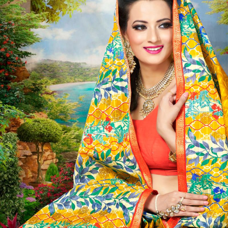 Resham Border Sarees